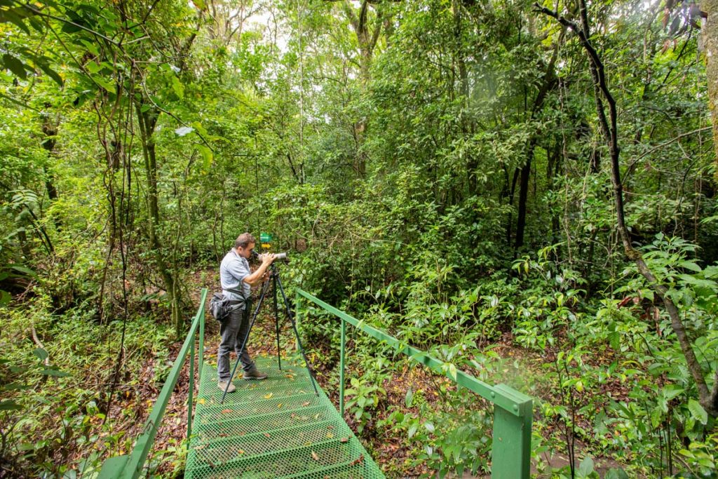 A man is standing on a green bridge in a rainforest and taking watching birds via binoculars