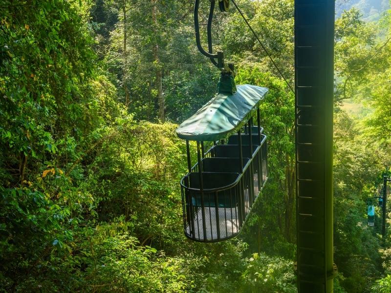 Aerial tram in rainforest