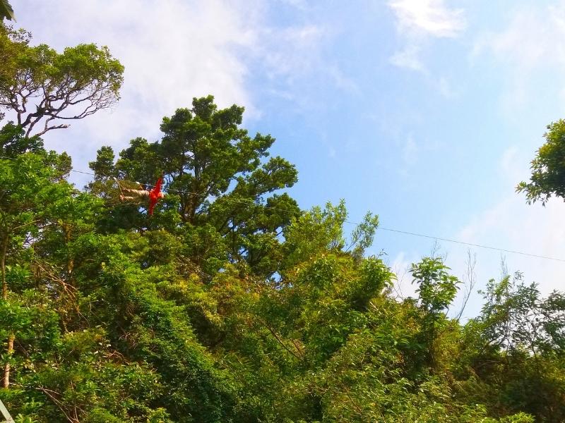 A person with red coat is ziplining above a rainforest