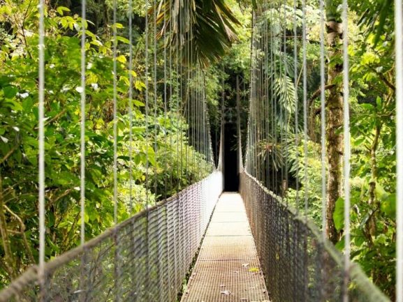 Metal hanging bridge in rainforest