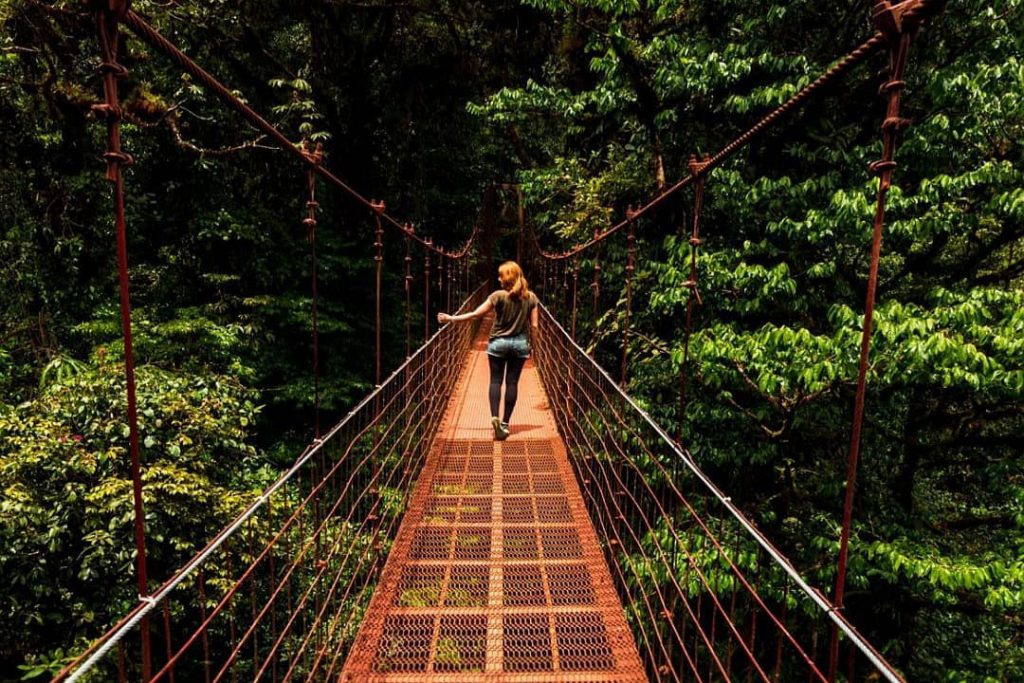 A woman is walking on an orange hanging bridge in the rainforest