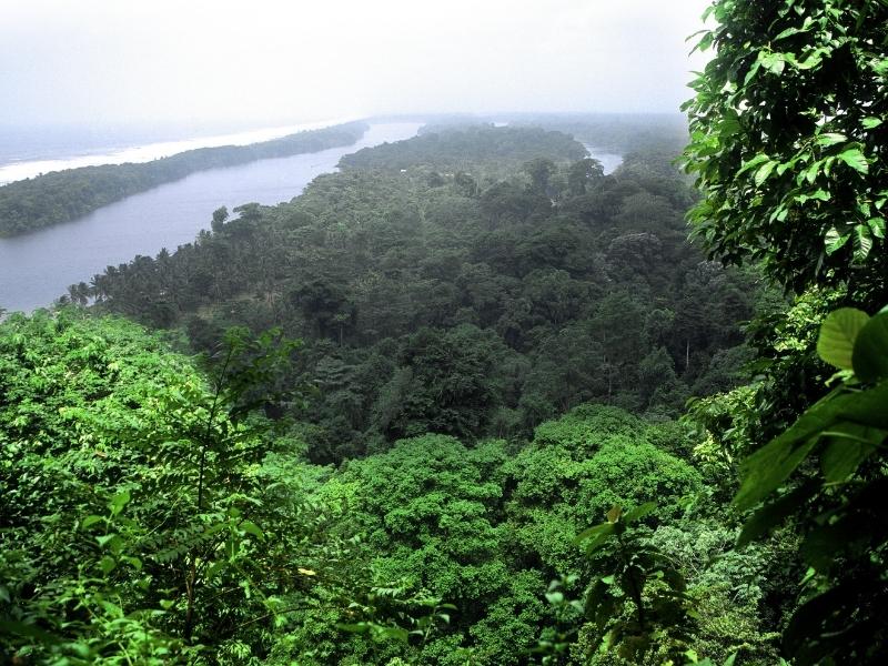 High above the rainforest with a river and the sea in the background