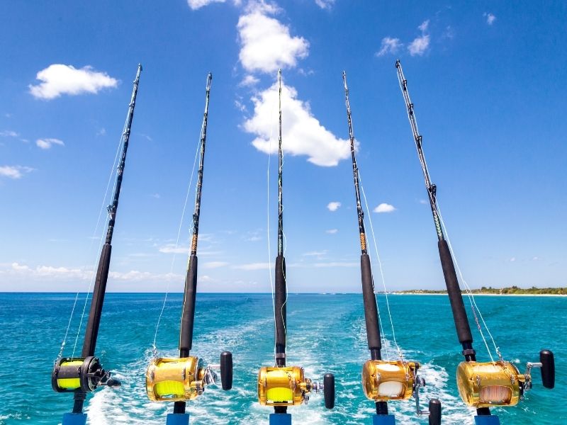 5 fishing rods fixed at the end of a boat