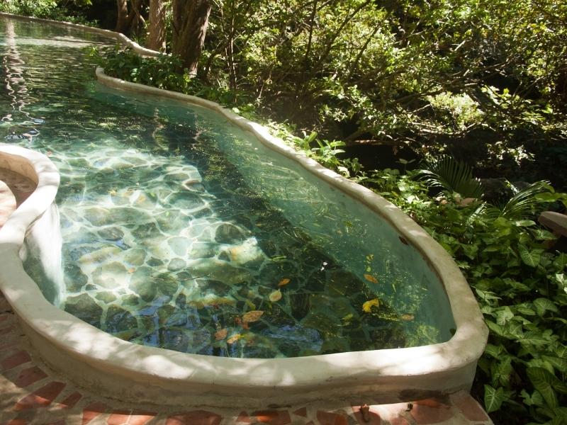 Pool in the rainforest 