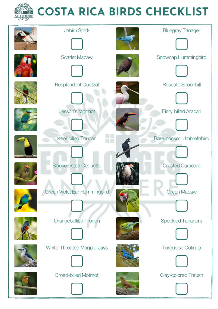 Small pictures of birds with their names written next to it with a headline saying costa rica birds checklist