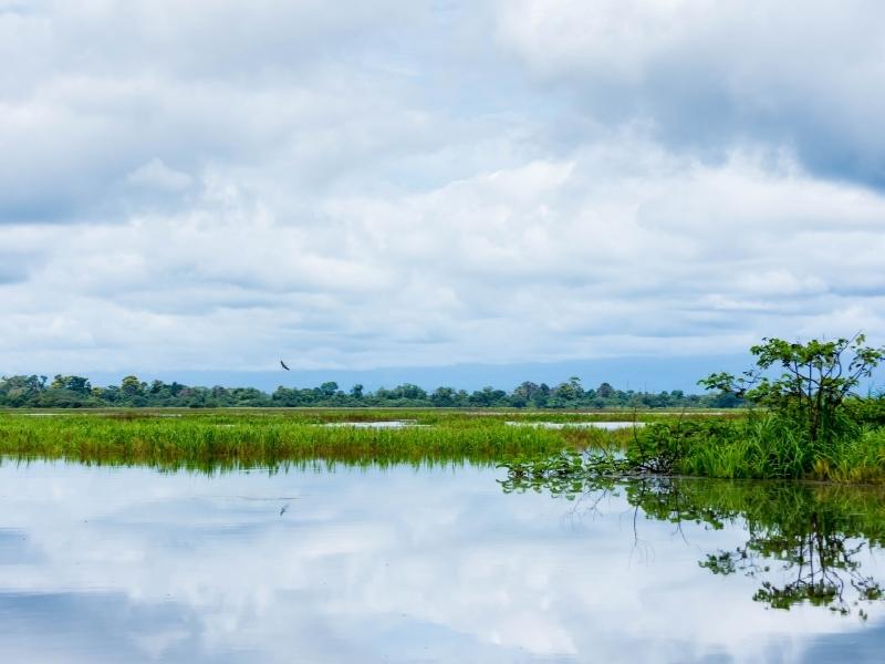 Lake and greenery with a cloudy sky