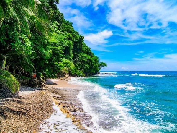 Beach with blue ocean and rainforest