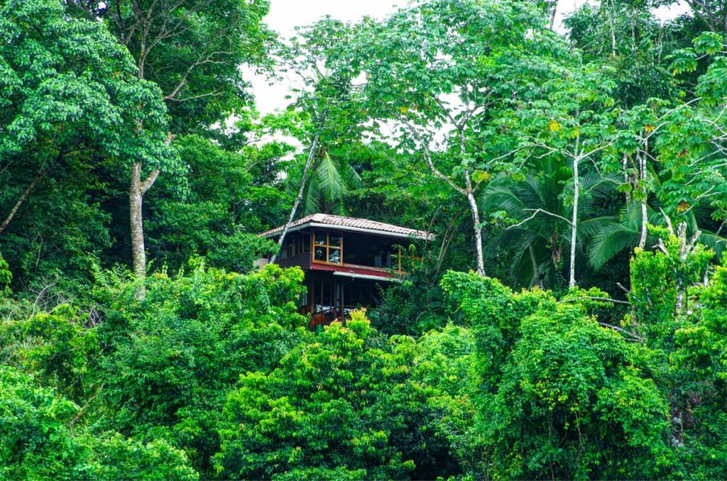 Small lodge in the middle of a rainforest