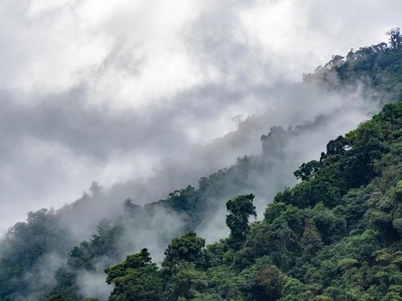 costa rica tourist season