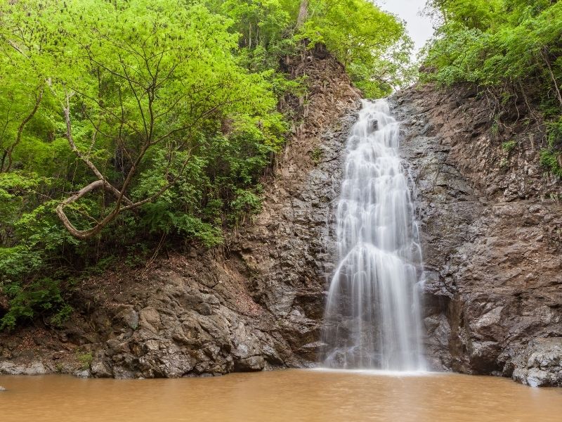 Waterfall is falling off a large brown cliff without vegetation. Rainforest is on the sides. It has a brown pool bed. 