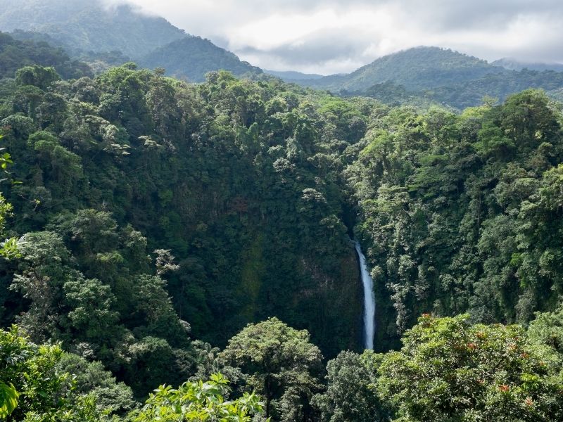 Huge waterfall from afar within  a rainforest