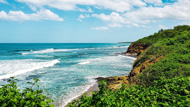 Beach with rocky side and green vegetation