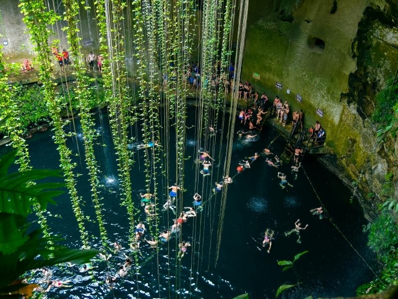 Picture of a cenote from the top where you can see people swimming in the water through hanging vines.