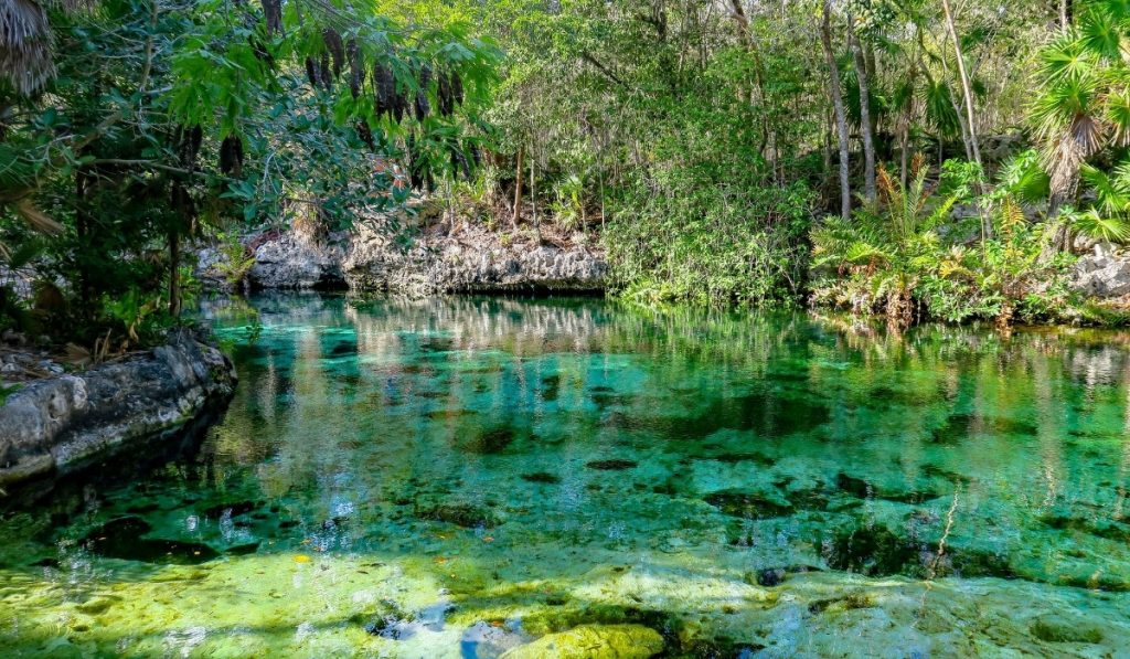 Green blue turquoise water with green forest around.