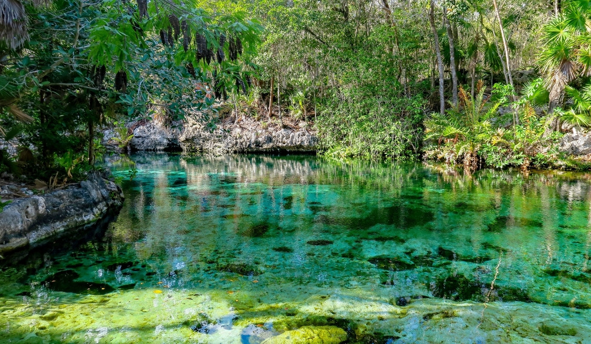 20 Unique Cenotes From Cancun to Tulum (along Riviera Maya) - Eco