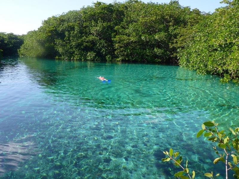 Large green blue lake surrounded by green forest and a man is swimming in the middle.