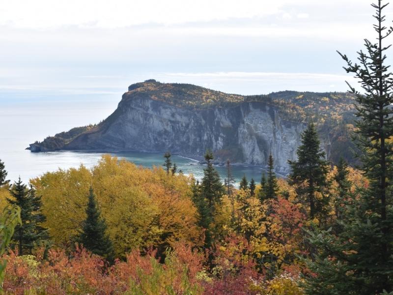 Rocky peninsula at the back with a forest along the seaside