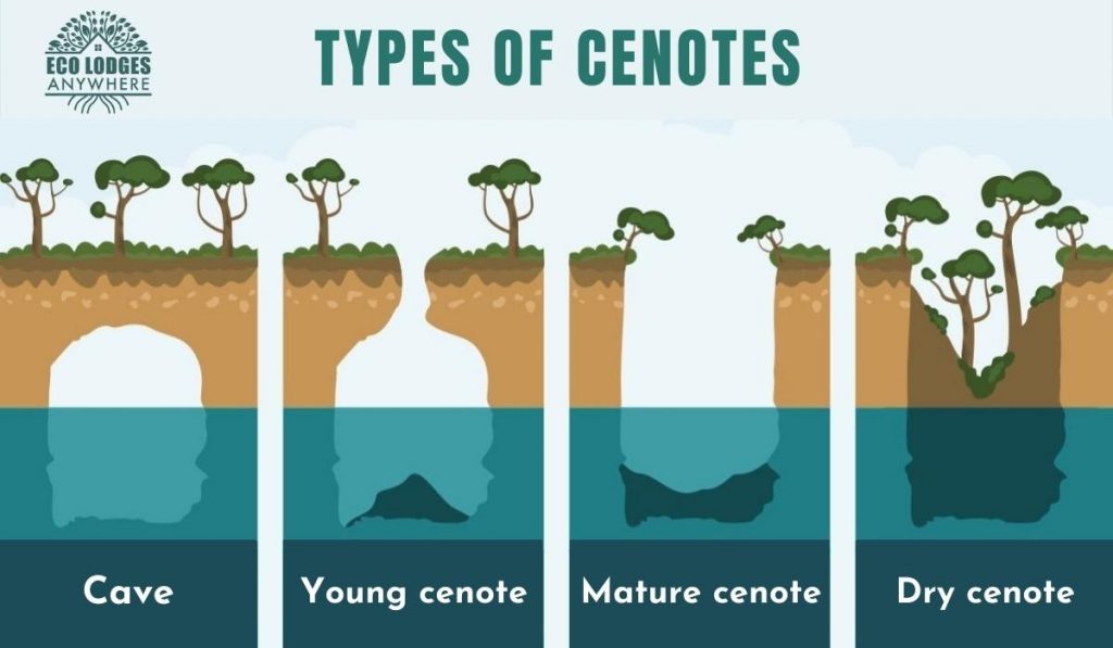 Types of cenotes in a graphic design showing the 4 types from cave, semi-closed and closed. 