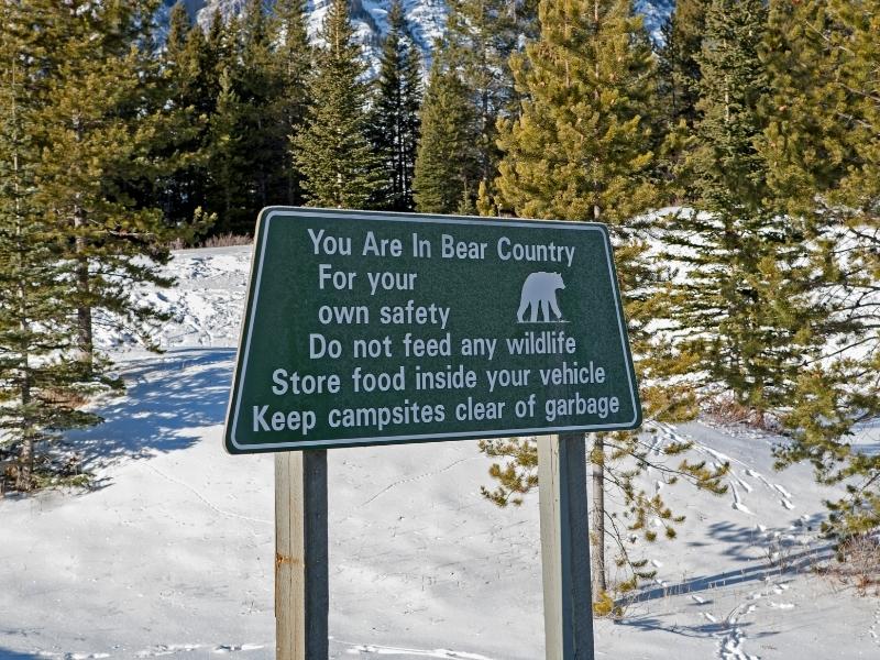 bear-warning-sign