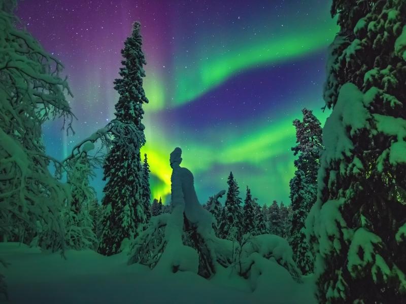 Green vibrant lines on the dark sky above a snowy pine forest