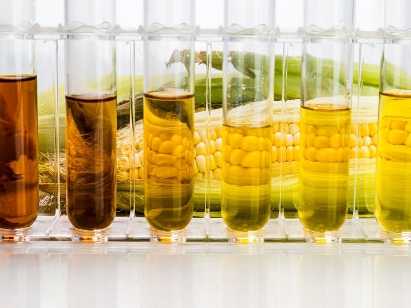 5 glass test tubes with different colored oil-like substances and a cob of corn is at the background