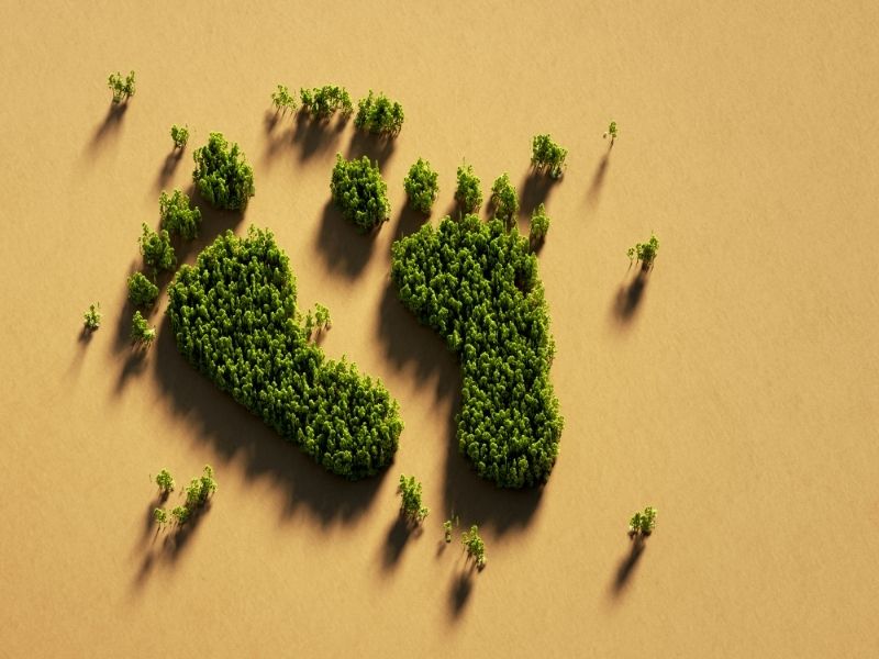 Green footprint from trees on a yellow background