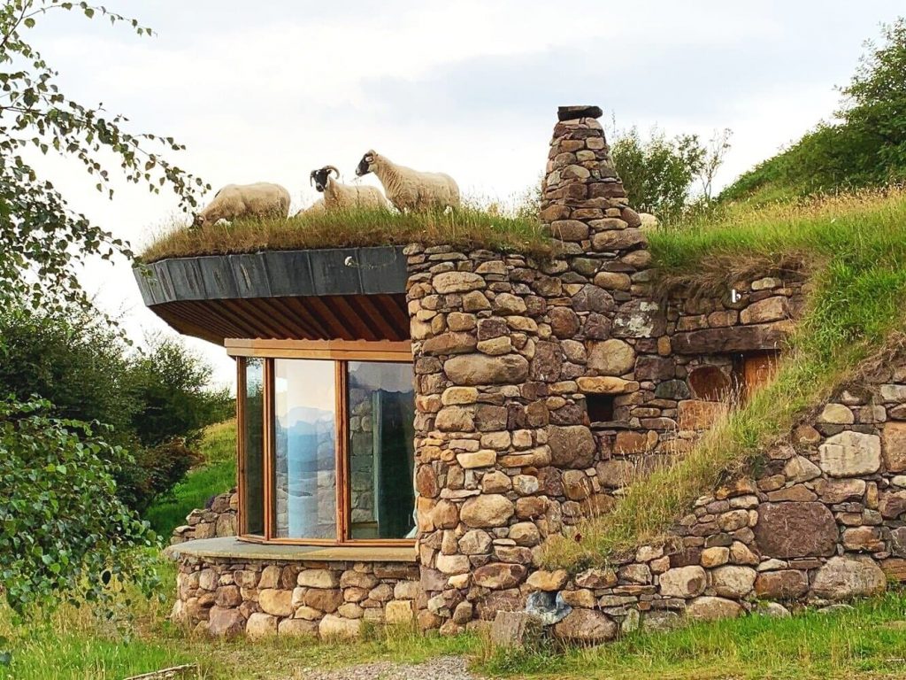 A house build with stone with green grass as roof and several sheep grazing on top of the roof