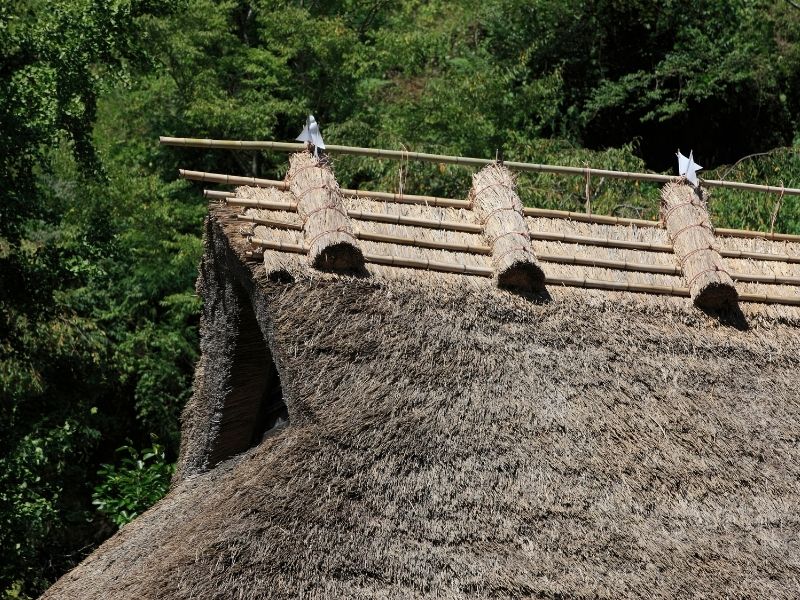 Thatched roof