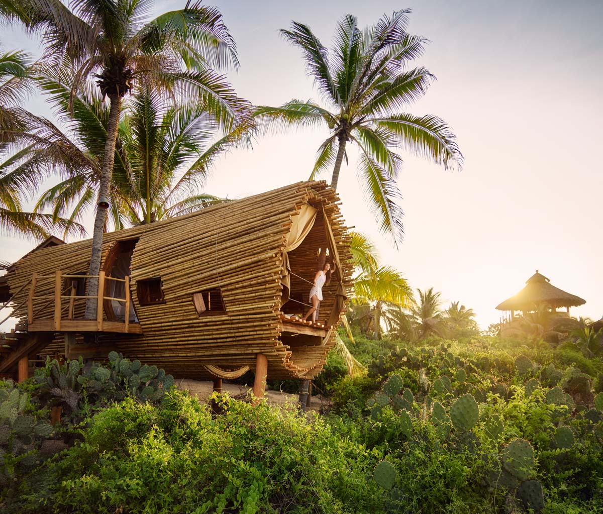 Wooden treehouse in the rainforest