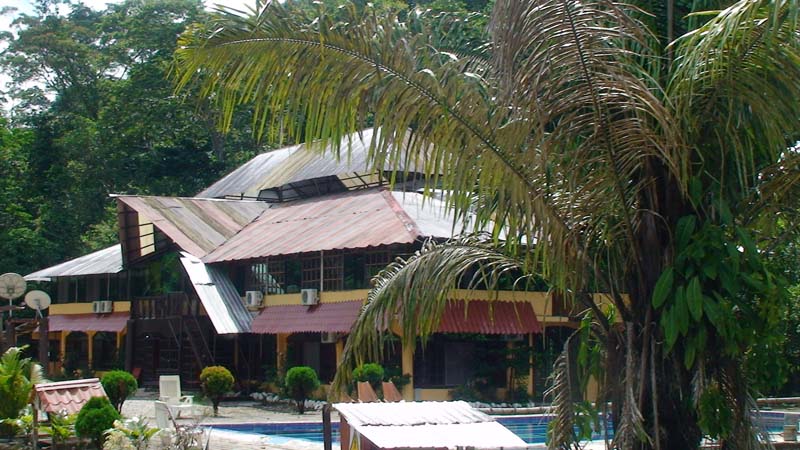 A 2-storey house build with wood and red metal roof in the middle of a jungle. There is a pool right next to it. 