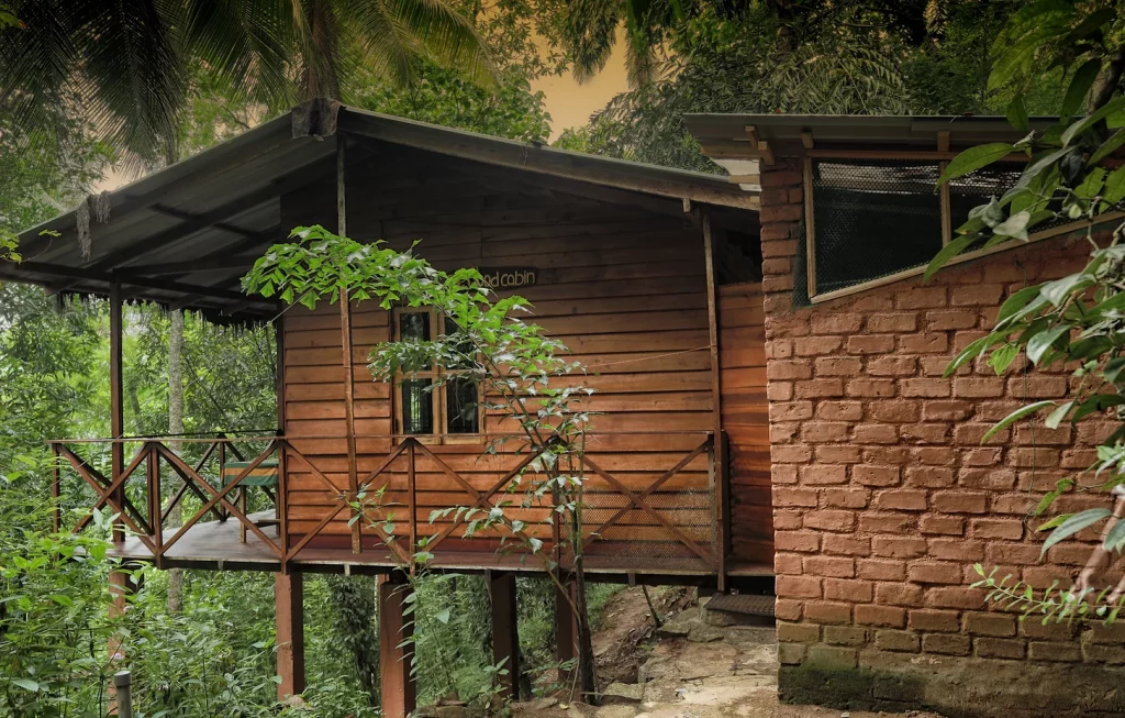 Wooden cottage in stilts in the middle of the rainforest