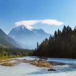 A river in a pine forest with a huge mountain with snowy top at the background