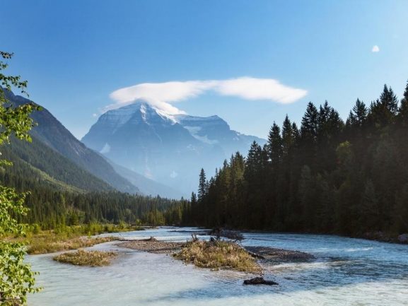 A river in a pine forest with a huge mountain with snowy top at the background