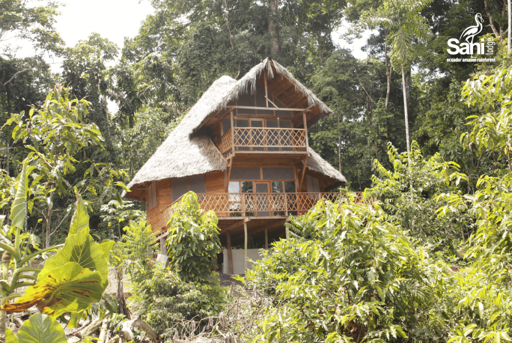 Bamboo house with thatched roof in the middle of a jungle