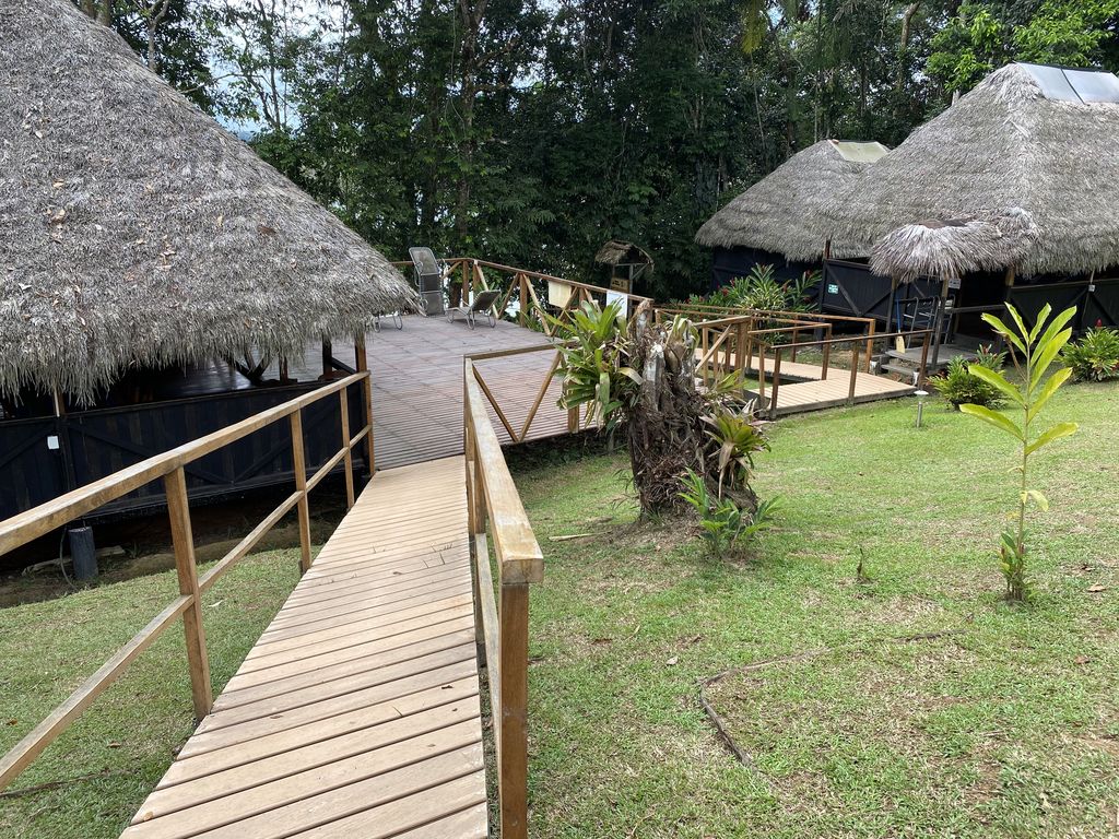 3 houses with thatched roods in the middle of a rainforest. One with a huge wooden terrace. 