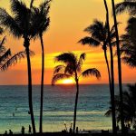 Palm trees, ocean and sunset