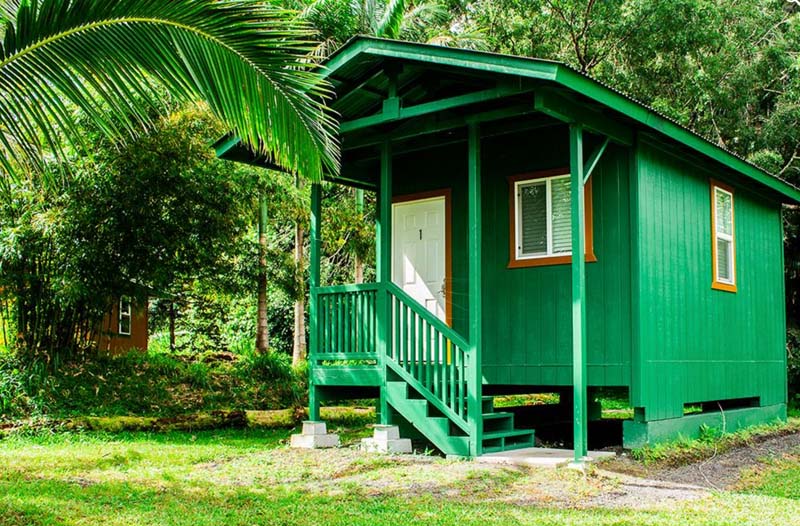 Small green wooden hut with white windows and door in a lush green garden