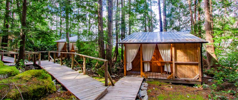 Small huts in the forest connected with wooden pathways. 