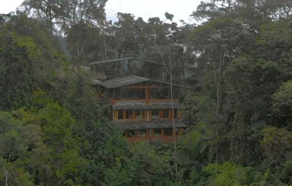 3-storey brown house in the middle of the rainforest built from wood