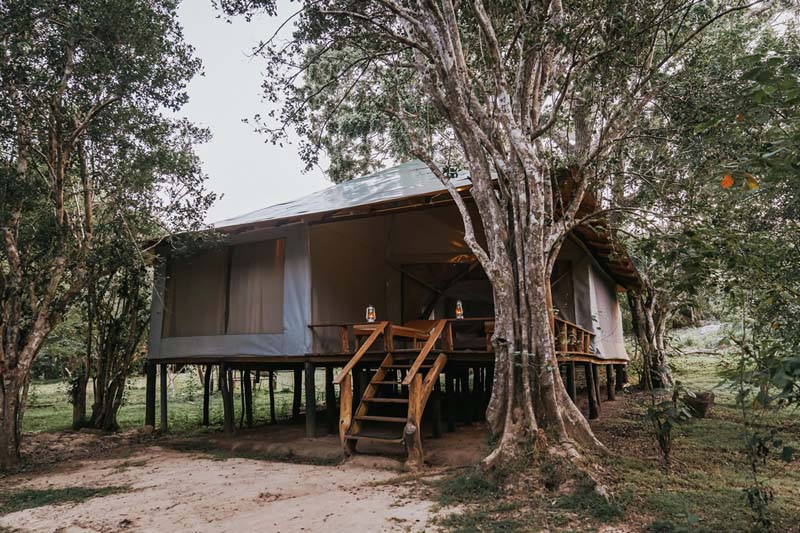 A tent with on an elevated wooden platform. 