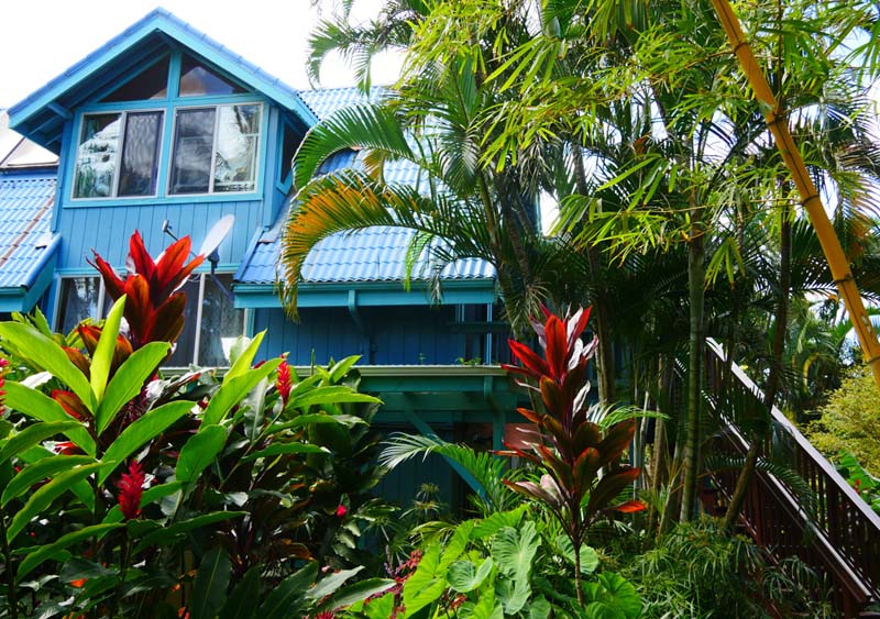 Blue wooden two storey building hidden behind lush green plants.