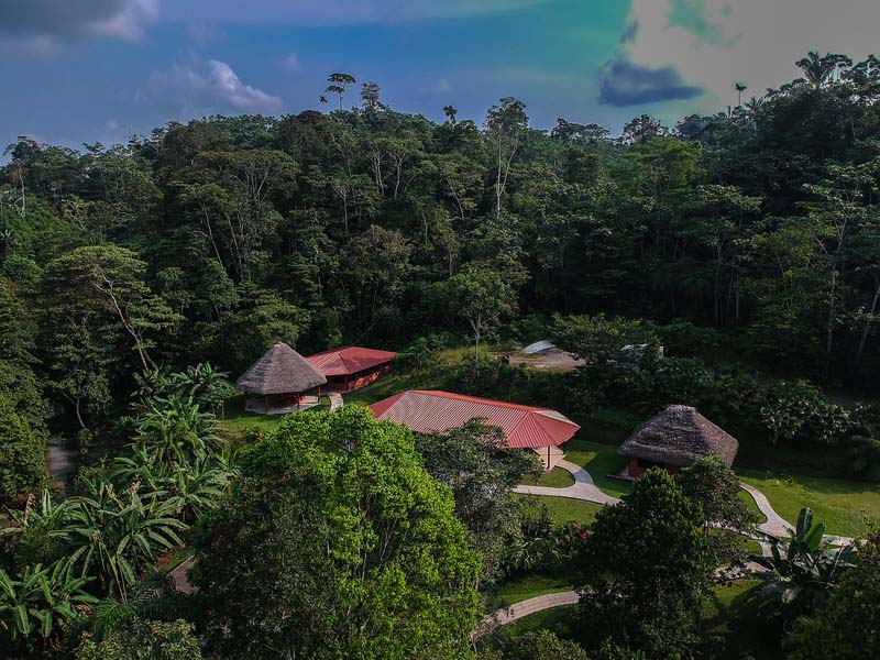 4 buildings from above, 2 with thatched roof, and 2 with red metal roof. They are all in the middle of a jungle