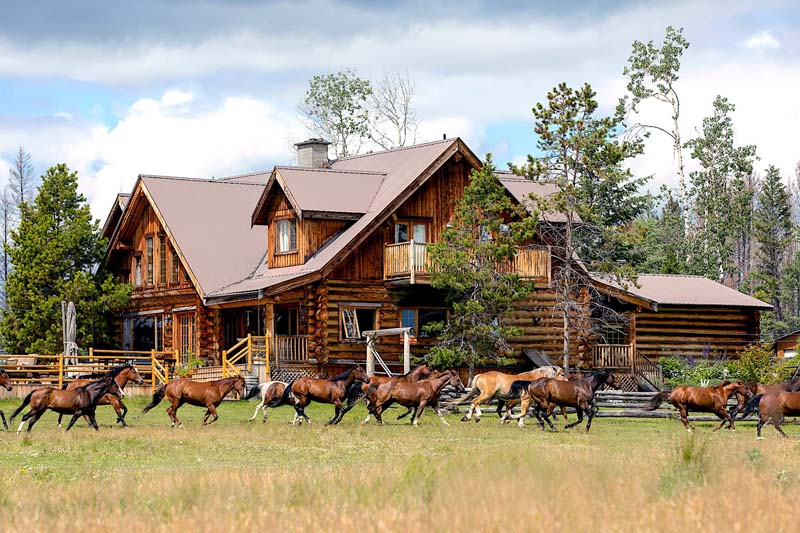 A large two-storey wooden lodge with horses running right in front of it. 