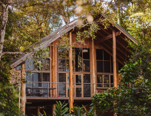 A wooden treehouse in the middle of the forest with lots of windows and doors so an uninterrupted view can be enjoyed even from inside. 