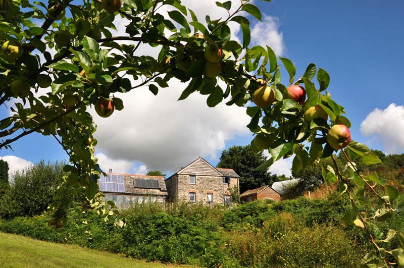 Stone cottage won a hill with solar panels on the roof. A branch with apples is bending in front of it