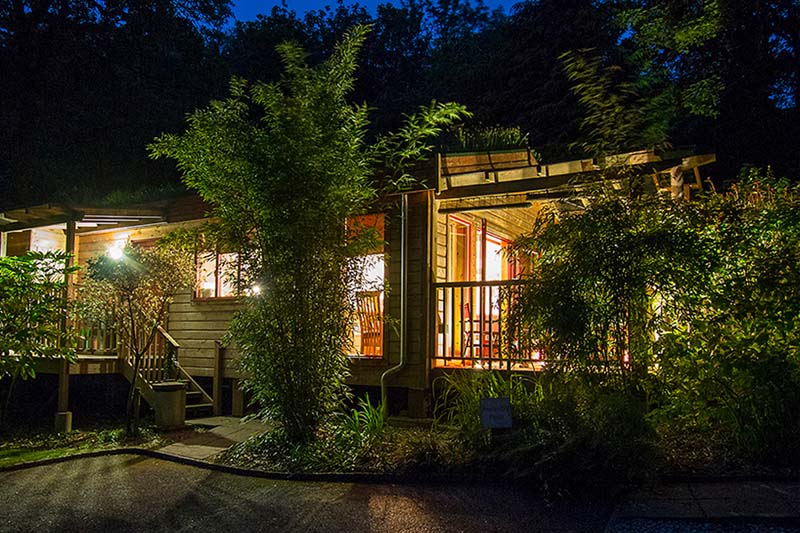 One-storey wooden house at night will the lights on and a front porch covered with green bushes