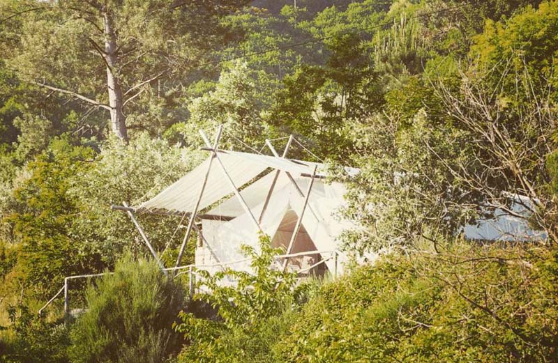 White tent in the middle of lush green vegetation almost completely covered by it. 