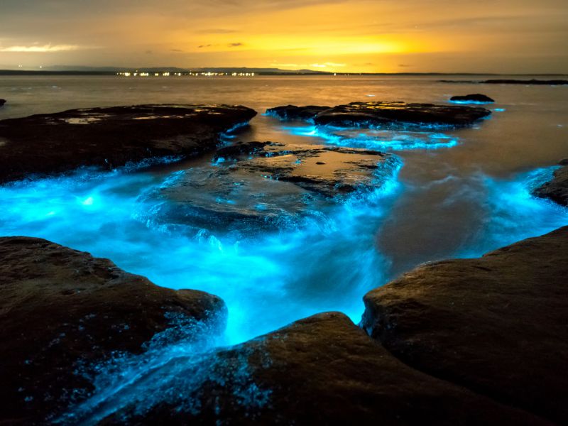 Bright light blue glowing waves in the sea around rocks at night.