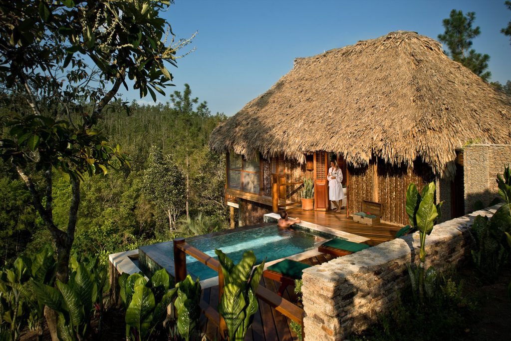 Wooden house with a small pool and straw roof in the middle of a jungle