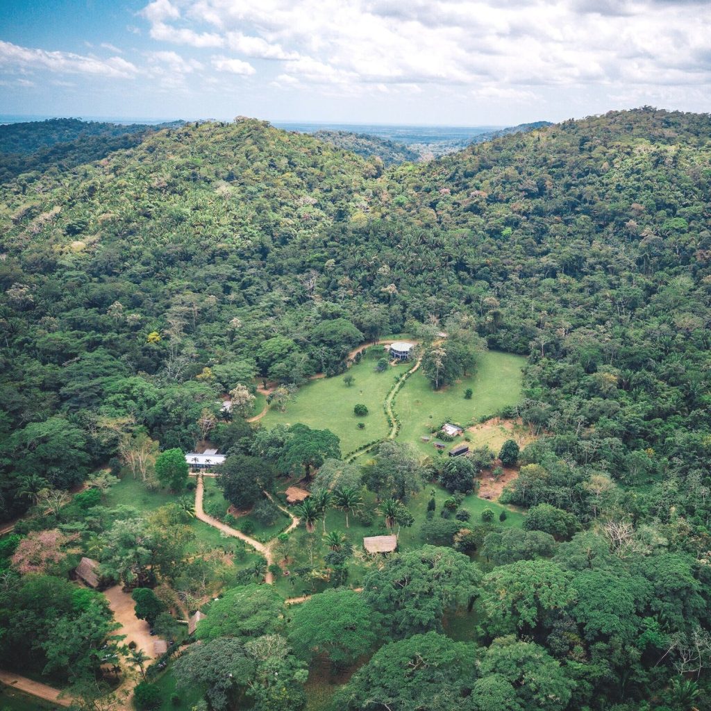 Aerial view of a jungle with a few houses and a small green pasture